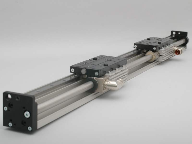 Profilex S.a.   Linmot   Linear Motors